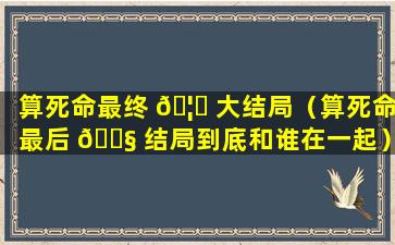 算死命最终 🦍 大结局（算死命最后 🐧 结局到底和谁在一起）